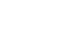 Sayogo Incorporated